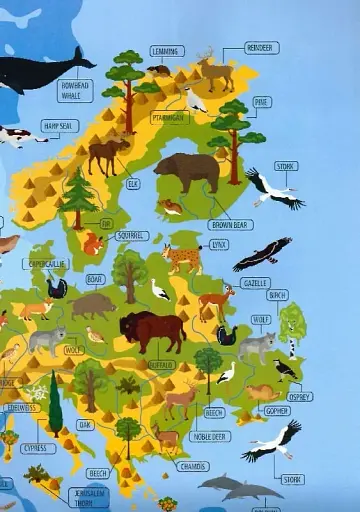 Дитячий простір : Тварини і рослини світу / Animals and plants of the world (Українська ) - фото 5