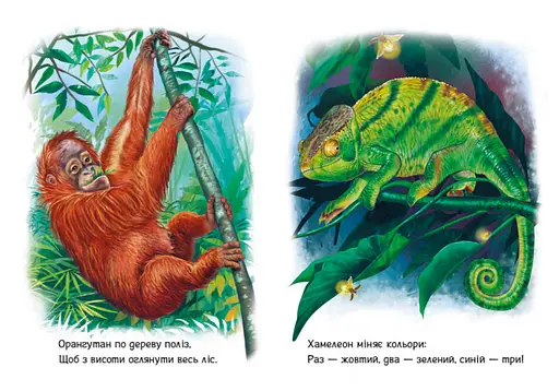 Книга Лісові звірята. Малятам про звіряток. Автор - Григорій Меламед (Ранок) - фото 4