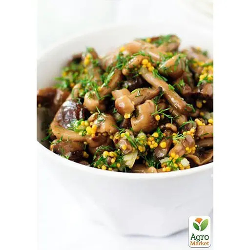 Сухий зерновий міцелій "Опеньок осінній" 100г (45189) - фото 2