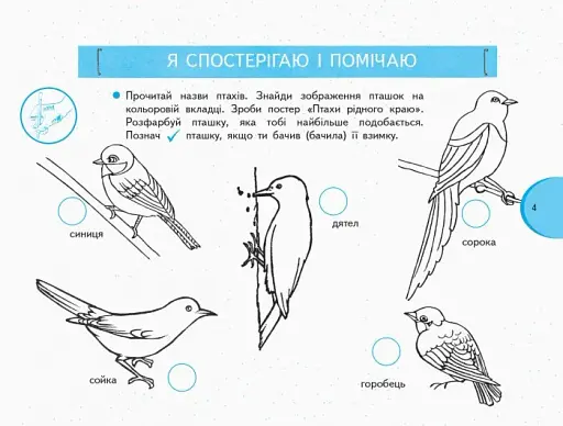 Я досліджую світ. 1 клас. Зошит-альбом із творчими завданнями. Частина 2 - фото 4