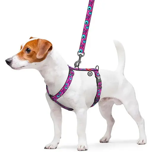 Шлея для собак Waudog Nylon анатомічна H-подібна з QR-паспортом, малюнок "Око монстра", пластиковий фастекс, M - фото 3