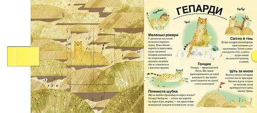 Хто ховається між листям й у воді - фото 5