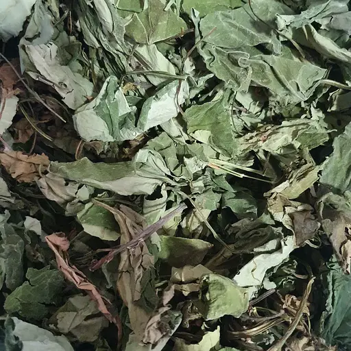 100 г медунка лікарська трава сушена - свіжий урожай