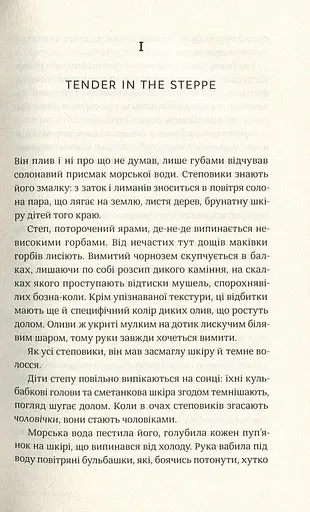 Книга Танжер - Йван Козленко (Комора) - фото 4