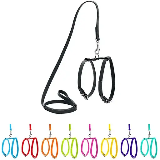 Шлея з повідцем для собак Waudog Glamour шкіряна з QR паспортом, чорний - фото 3