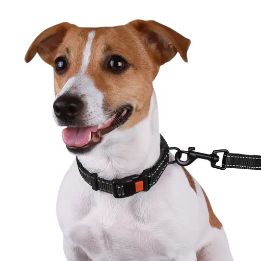 Поводок для собак Barksi Active 152х1 см черный - фото 6