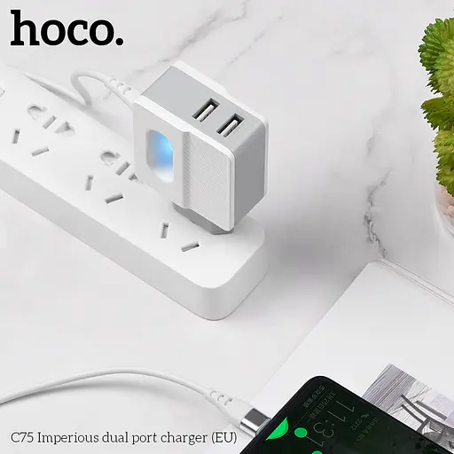 Зарядний адаптер мережевий блок живлення з вбудованим кабелем Type-C Hoco C75 2 USB - фото 2