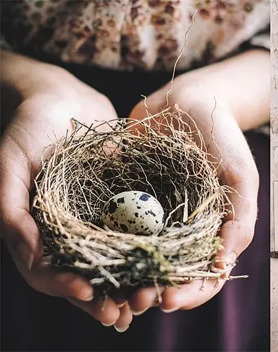 How to French Country. Colour and design inspiration from southwest France - фото 6