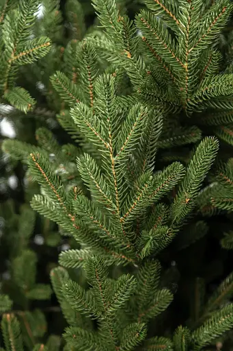 Елка искусственная литая Венская 1.8 м Зеленая - фото 2