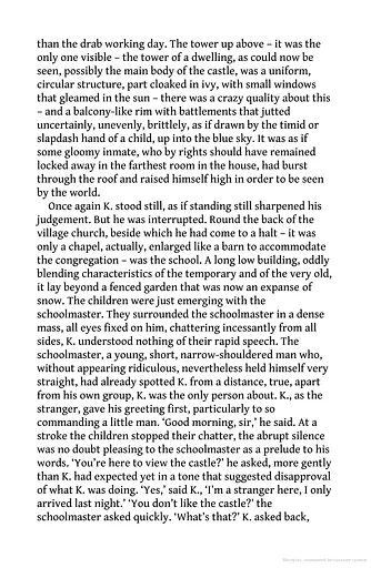 The Castle - фото 8