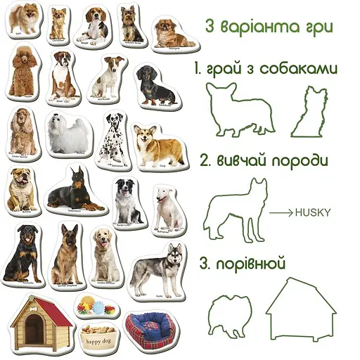 Детский развивающий набор магнитов Породы собак ML4031-20EN 24 фотомагниты - фото 3