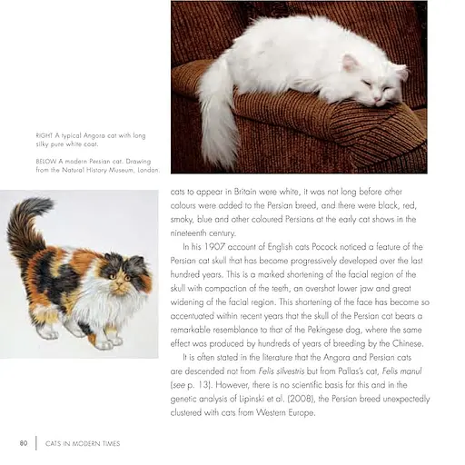 The British Museum Book of Cats - фото 4