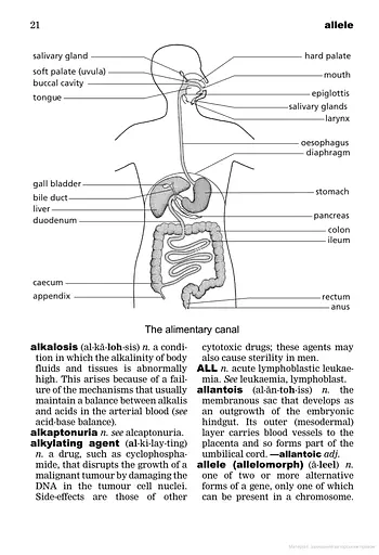 Oxford Minidictionary for Nurses - фото 7