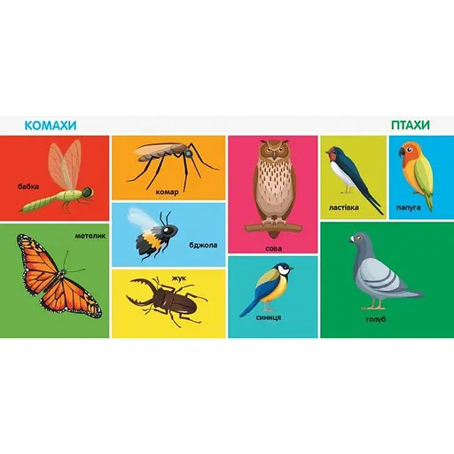 Дитяча смарт-книжечка "100 перших слів" 944002, 24 сторінки - фото 3