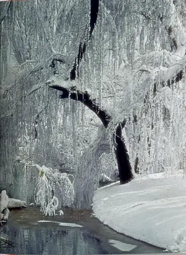 Burton Holmes. Travelogues. The Greatest Traveler of His Time - фото 3