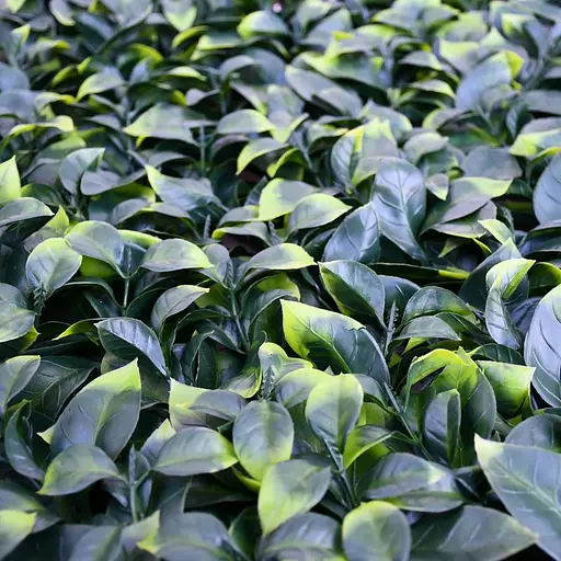 Декоративне зелене покриття Engard Молоде листя 50х50 см (GCK-05) - фото 4