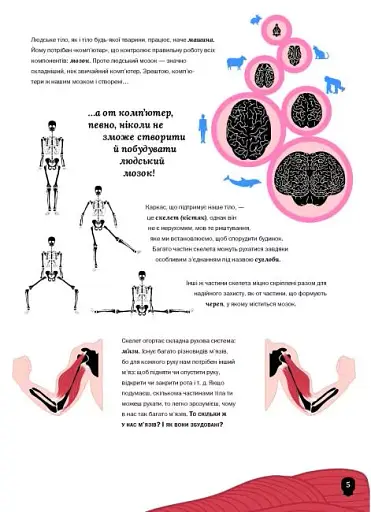 Тіло людини - фото 3