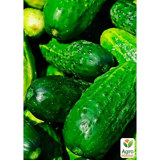 Огірок "Суміш кращих популярних сортів" ТМ "Весна"  5г (45524) - фото 2