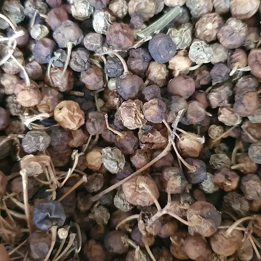 100 г паслен черный ягоды/плоды сушенные свежий урожай