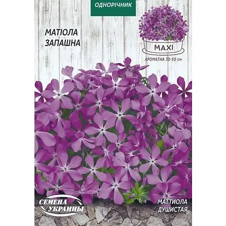 Насіння Maxi Насіння України матіола запашна 10 г (694200)