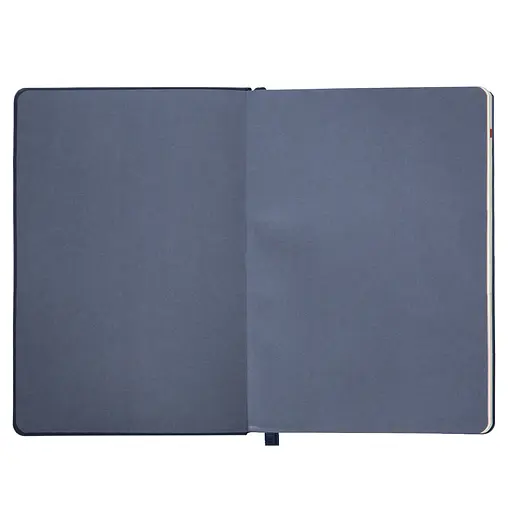 Ежедневник-деловая записная книжка А5 Leo Planner датирована 2026 Boss синий 368 страниц (252633) - фото 3