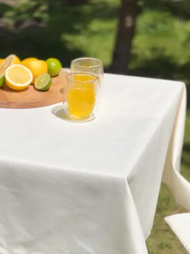 Водовідштовхувальна скатертина Ваніль однотон 380х140 см (+ 8 серветок 30х40) - фото 2