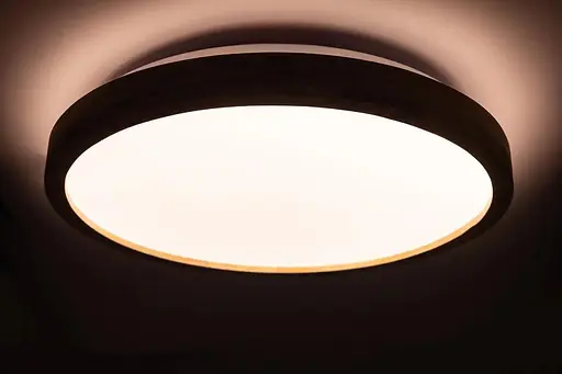 Потолочный светильник Vestum LED Wood матовый с декором акация 60W - фото 5