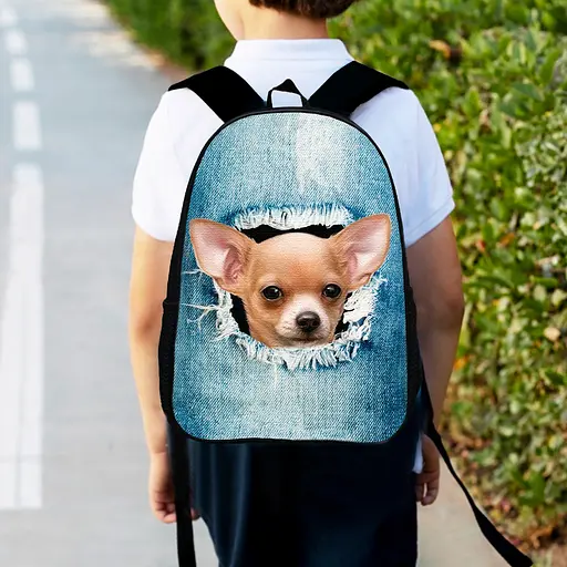 Рюкзак детский с собакой 34х27 см, ранец городской для мальчика, девочки (00479)