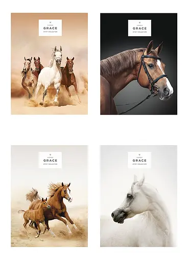 Комплект 4 шт общих тетрадей. Тетрадь Школярик А5 48 л. в линию 5061 4823088207590 - фото 1