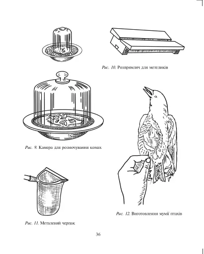Щоденник спостережень. Навчально-польова практика з основ природознавства - фото 5