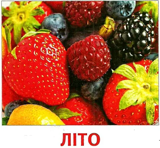 Пори року. Роздавальні картки - фото 2