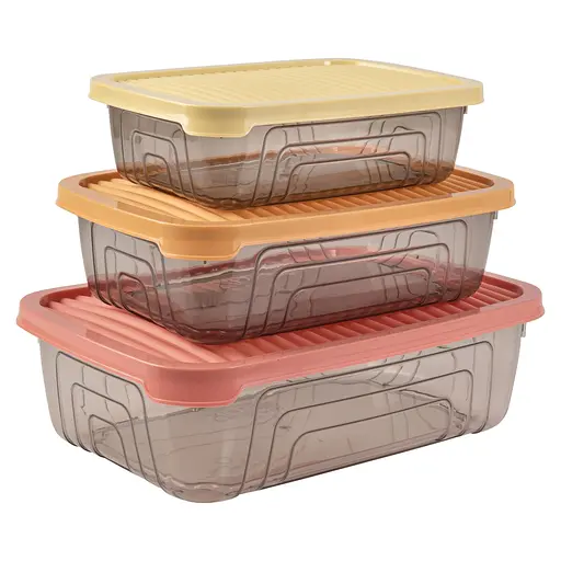 Контейнер пластиковый Herevin Rectangular Storage Bowl Set-2024 Colours 3 шт. (163330-150)