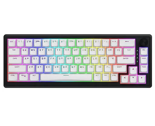 Клавіатура ігрова механічна HATOR HTK-3160-UA Skyfall 65 Wireless Aurum Sterling Switch USB, 2,4 ГГц, BT 5.3 Black-White - фото 1