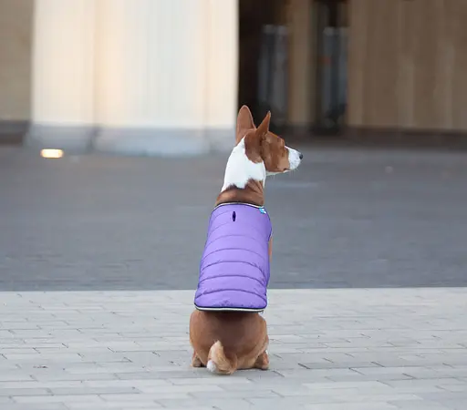 Куртка-накидка для собак AiryVest, L, B 58-70 см, С 42-52 см фіолетовий [CD] - фото 7