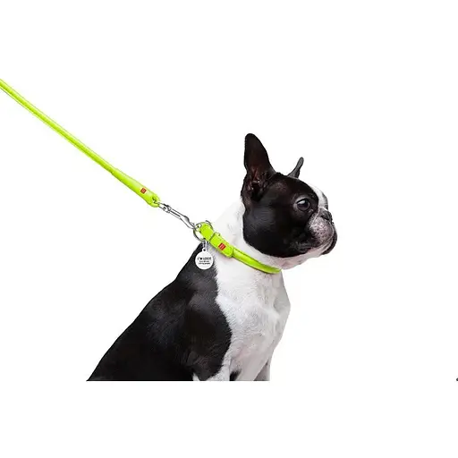 Повідець для собак Waudog Glamour шкіряний круглий, салатовий - фото 4