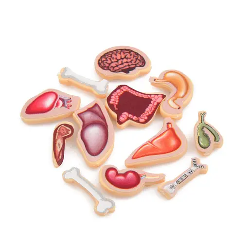 Дитяча настільна гра "Crazy Doctor" Bambi 1295-3 ігрове поле, рулетка - фото 3