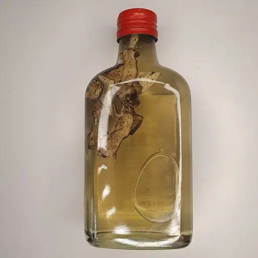 Водная настойка на корне белой водяной лилии 200 мл - фото 2