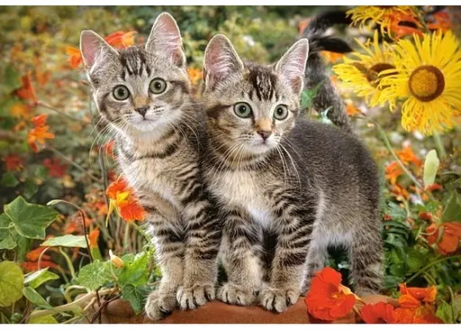 Пазл Castorland Друзья котенка 1500 эл. (c-151899) - фото 2