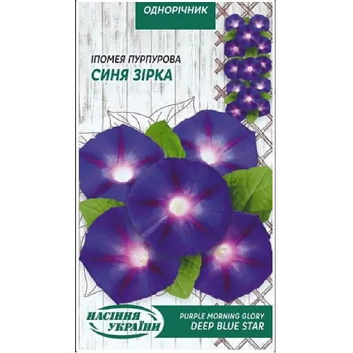 Насіння Іпомея Пурпурова Насіння України Синя зірка 0.5 г (784800)
