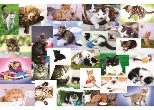 Пазл Trefl Мир кошек коллаж 60 эл. (17332) - фото 2
