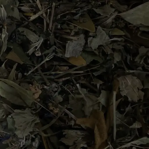 Сбор травяной кровоочистительный для чистки сосудов, 100 г, (Свое производство)