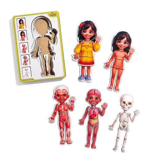 Деревяний пазл-вкладиш Анатомія людини - дівчинка-2 (ПСД263) PSD263 будова тіла - фото 3