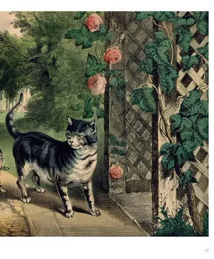 Art Cat - фото 4