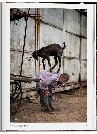 Steve McCurry. Animals - фото 3