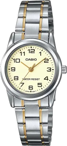 Часы Casio Timeless Collection LTP-V001SG-9BUDF
