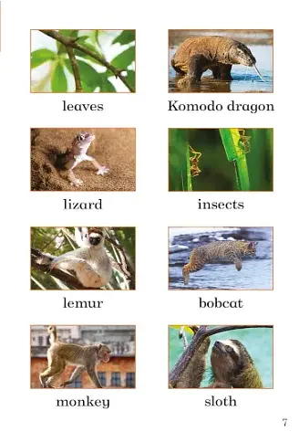 Big and Small. Ladybird Readers. Level 2 - фото 3