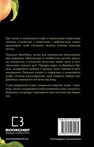 Посібник зі знищення вампірів від Південного книжкового клубу - Ґрейді Гендрікс - фото 2