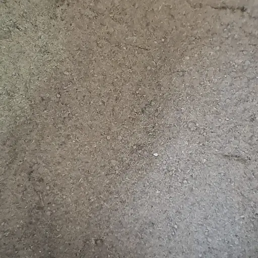 100 г бадяга порошок - свежий урожай