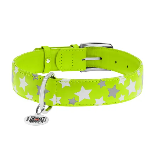 Нашийник для собак шкіряний Waudog Glamour з QR-паспортом візерунок "Зірочка" світлонакопичувальний/світловідбивний XL Ш 35 - фото 3