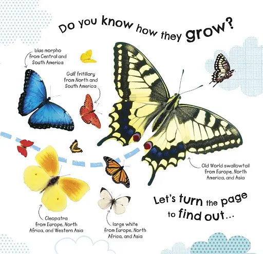How Does a Butterfly Grow? - фото 4